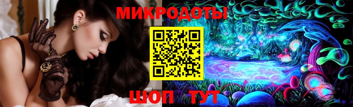 Псилоцибиновые грибы Psilocybe Серов